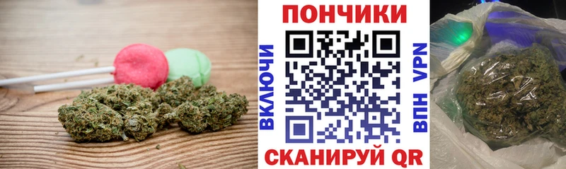 Cannafood конопля купить Цоци-Юрт
