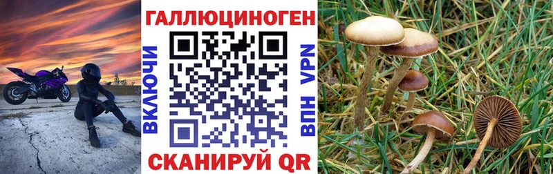 Псилоцибиновые грибы GOLDEN TEACHER  Цоци-Юрт 